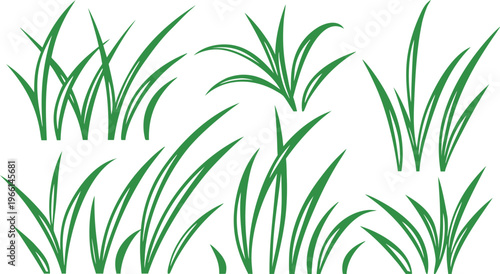 Green grass doodle collection with varying blade lengths and angles grass blades
