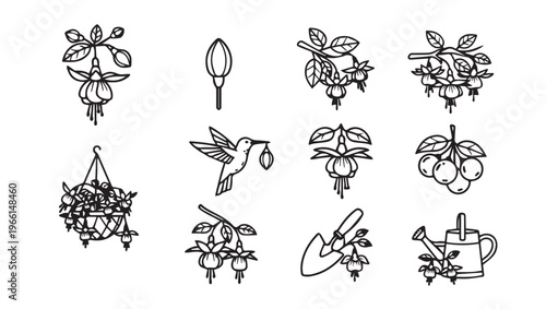 Fuchsia Flowers Hummingbird Garden Tools Vector Icons Set