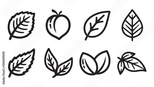 Outline Icons: Assorted Leaves and Fruit Minimalist Vector Collection