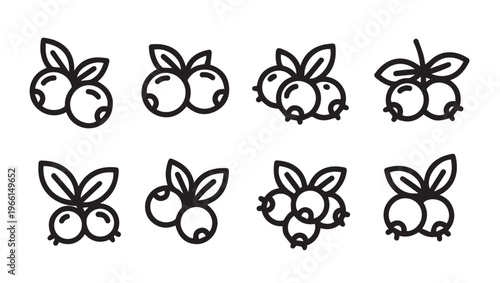 Outline Icons of Berries with Leaves Vector Collection of Fruit Elements