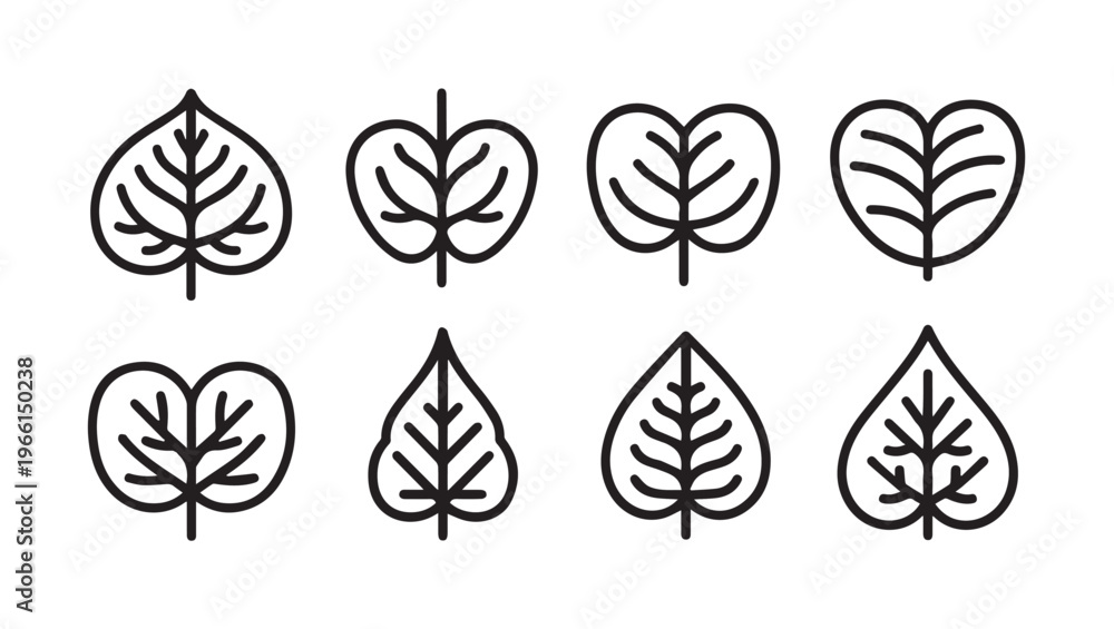 Fototapeta premium Set of assorted leaf outline icons. Different shapes and veins. Stock vector graphic