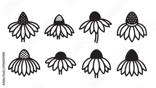 Set of Echinacea Flower Icons Daisy Flower Line Art Daisy Flower Vector Echinacea Flower Outline Herbal Flower Icon