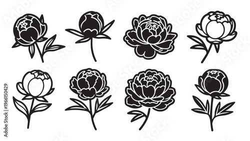 Set of eight black and white peony flower illustrations with stems and leaves