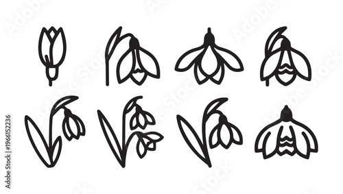 Snowdrop Flower Icons Collection Line Art Illustrations Spring Botanical Elements
