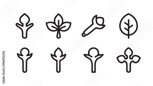 Spice Icons Set: Clove Leaf Botanical Elements Line Art