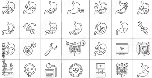 Digestive Health and Stomach Function Vector Set with Anatomy, Digestion, and Gut Health Icons for Medical, Wellness, and Healthcare Design
