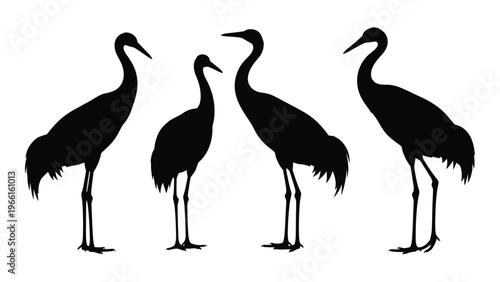 Four elegant crane silhouettes stand in varying poses against a white background