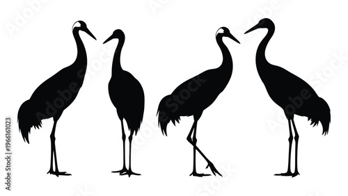 Four black silhouette cranes stand in varied poses showcasing elegant necks and legs