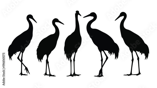 Silhouette illustration depicting five cranes in various stances against a white background