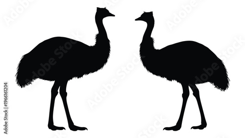 Two emus depicted in black silhouette facing opposite directions against a white background