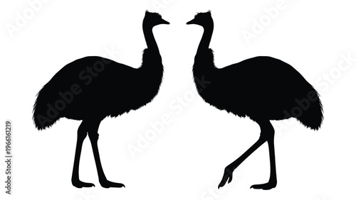 Two emus facing each other depicted as a minimalist black silhouette illustration