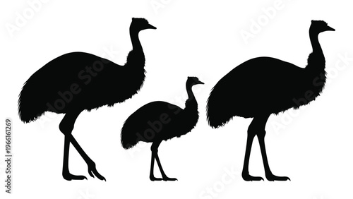 Silhouette of three emus depicting a family or group against a white background