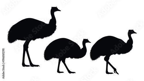 Silhouette of three emus standing in a row facing different directions