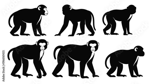 A collection of six black silhouettes depicting various monkey poses and views