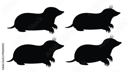 Four silhouettes of shrews depict the small mammals in various poses