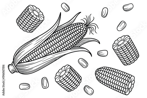 Corn cob seamless pattern, vintage engraving style vector illustration featuring ripe maize with and without leaves, detailed agricultural texture for farm design, food packaging, organic branding, an