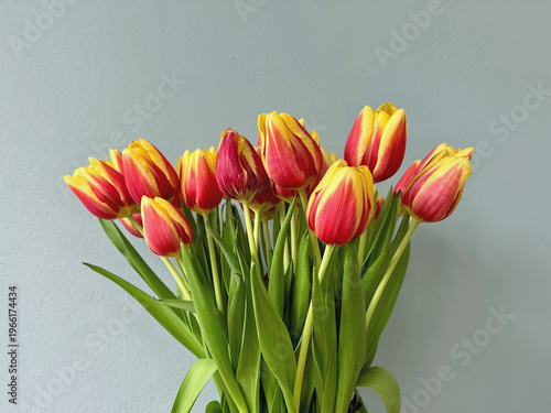 Ein Strauß rot-gelber Tulpen