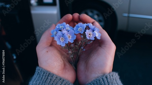 Holding Small Blue Flowers in Hands Near a Parked Car in the Afternoon Light