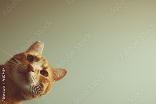 group of friends joyfully releasing ultrabright lanterns on christmas night creating magical atmosphere