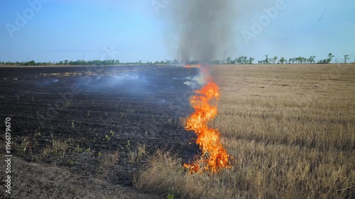 Dry agricultural land burns under dark smoke clouds. Flames move quickly across harvested field. Dramatic rural wildfire scene. Concept of deforestation, heatwave and climate catastrophe.
