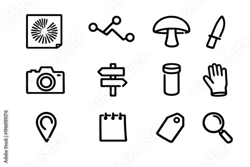 A collection of twelve minimalist black line icons representing