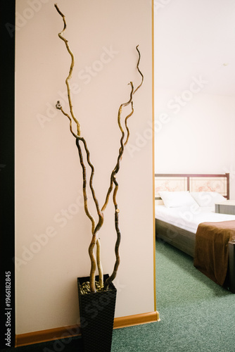 Decorative indoor plant in modern bedroom with minimalist design elements