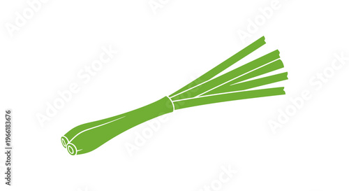 Bunch of Fresh Green Onions or Scallions.