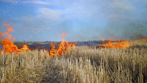 Flames spread across dry farmland after harvest. Thick smoke rises into the sky. Wheat stubble burns fast. Climate change and environmental crisis concept. Global warming impact on agriculture.