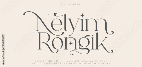 Nelyim Rongil Elegant Font Uppercase Lowercase and Number. Classic Lettering Minimal Fashion Designs. Typography modern serif fonts regular decorative vintage concept. vector illustration