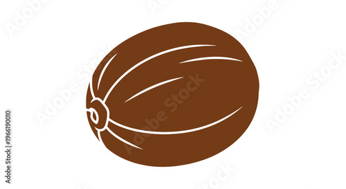 Coconut Fruit Illustration Isolated on White.