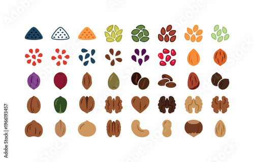 Assortment of colorful edible seeds and nuts arranged in rows