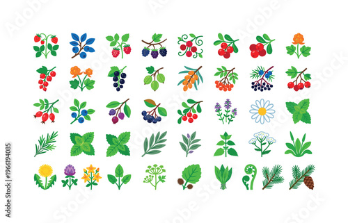 Collection of colorful flat icons representing various berries, herbs, and plants