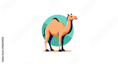 Camel standing on sandy ground.