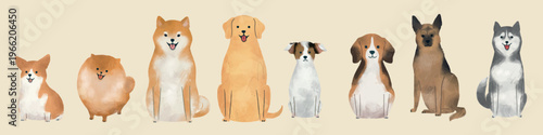 Illustration of eight different dog breeds, including a corgi, pomeranian, labrador, and husky. Various dog breeds sitting in a row, colorful and cute. Isolated animal vector set.