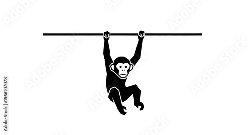 Monkey hanging from a horizontal bar.
