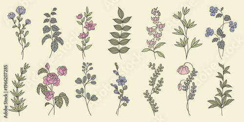 Illustration of various floral designs with leaves and flowers. Floral patterns in different styles. Leaves and flowers in artistic floral arrangements. Spring flower illustrations, isolated vectors.