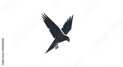 Black bird flying in air.