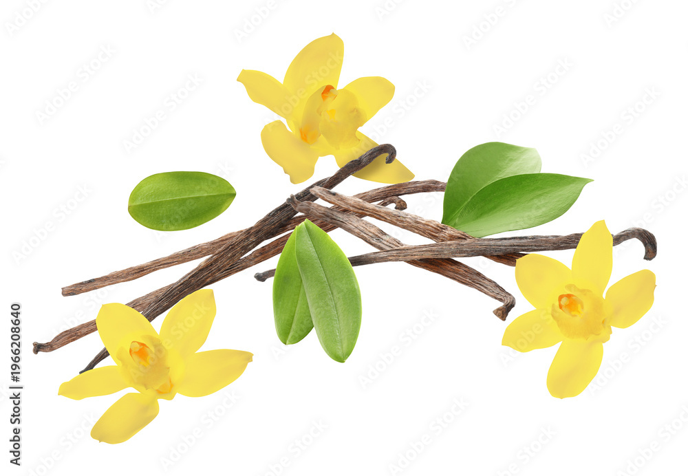 Naklejka premium Vanilla pods, flowers and green leaves flying against white background