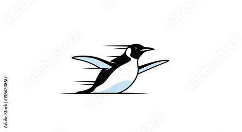 Black and white bird in flight.