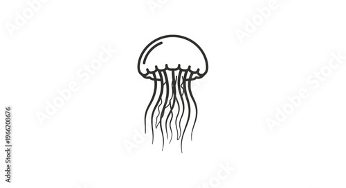 Black and white jellyfish drawing.
