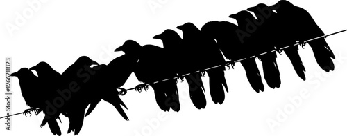 Crows on a wire
