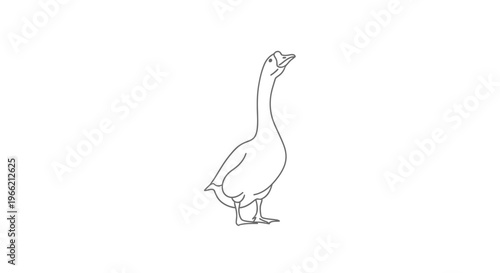 Goose Standing Alone Side View.