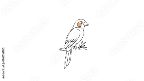 Minimalist Line Art Cockatiel Illustration with Orange Cheek Patch, Simple Perched Bird Drawing on White