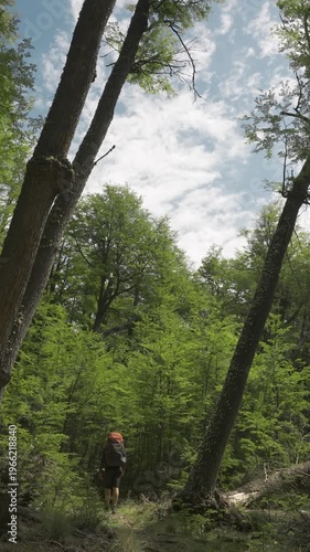 Hiker with a backpack walking through a forest under a bright sun in nature