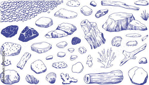 Collection of natural sea objects and plants hand drawn isolated.