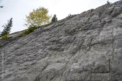 Steep granite rock face of Written Stone rising toward a treeline, showing weathered gray stone, and lichen patches under a pale, overcast sky. Carpathian Mountains, Ukraine
