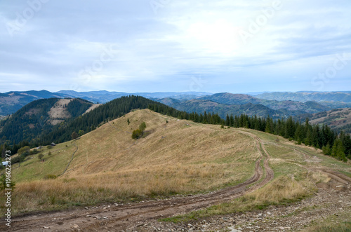 Winding dirt trail crosses rolling mountain hills dotted with evergreen forest and scattered trees, overlooking layered valleys under a cloudy sky. Carpathian Mountains, Ukraine