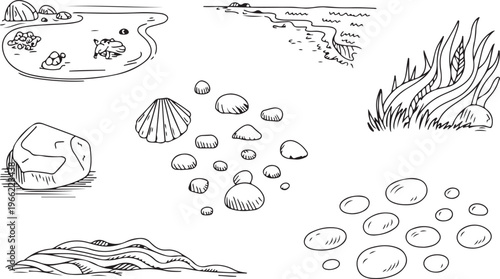 Sea shells and beach stones with ocean wave line art nature sketches.