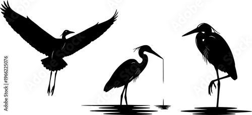 This collection of heron silhouettes showcases the birds in various activities such as flying, fishing, and resting. Designed in a minimalist black and white style