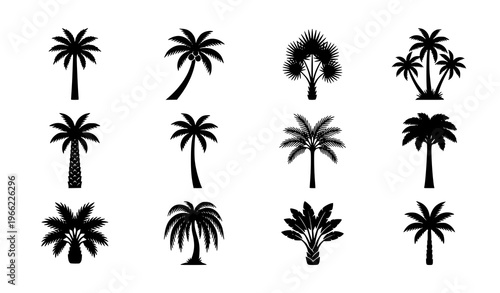 Black palm tree silhouettes vector set tropical trees collection isolated on white background